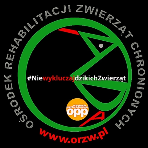 https://www.facebook.com/dzikiezwierzetaprzemysl