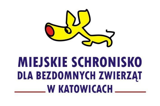 https://www.schronisko-katowice.eu